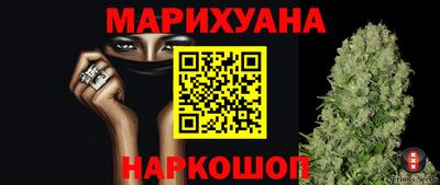 сатива Лесосибирск