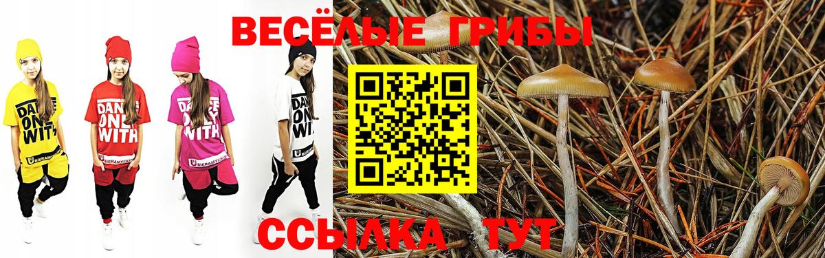 Псилоцибиновые грибы MAGIC MUSHROOMS Воркута