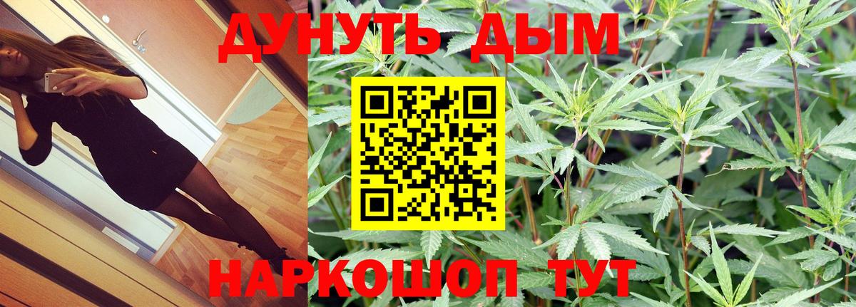 Бошки Шишки семена Воркута